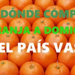 DONDE-COMPRAR-NARANJA-A-DOMICILIO-EN-EL-PAÍS-VASCO