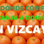 DONDE-COMPRAR-NARANJA-A-DOMICILIO-EN-VIZCAYA