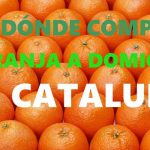 DÓNDE-COMPRAR-NARANJAS-A-DOMICILIO-EN-CATALUÑA